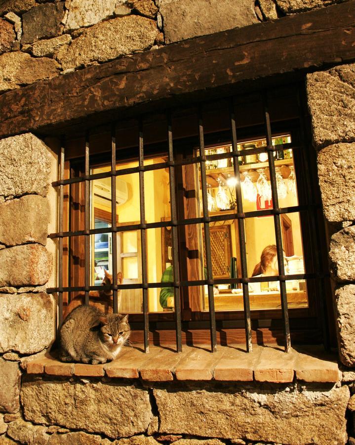 Posada La Gatera Pedro Bernardo エクステリア 写真